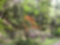 Dscn0261.jpg