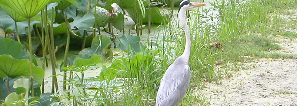 photo 7.jpg