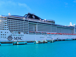 MSC Booking Category Breakdown