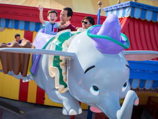 Spotlight: Babies on Vacation