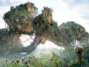 Park Spotlight: Pandora-The World of Avatar