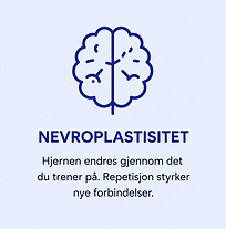 Nevroplastisitet.png