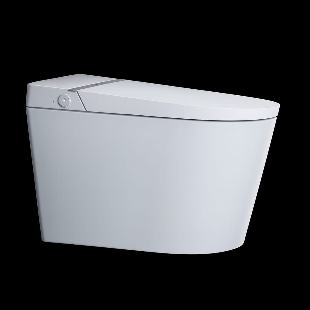 Smart Toilet