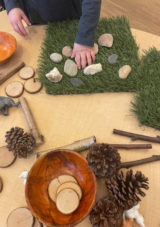 wood and rocks loose parts (1).jpg