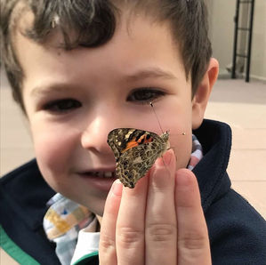 RSG_Grahambutterfly2018.jpg