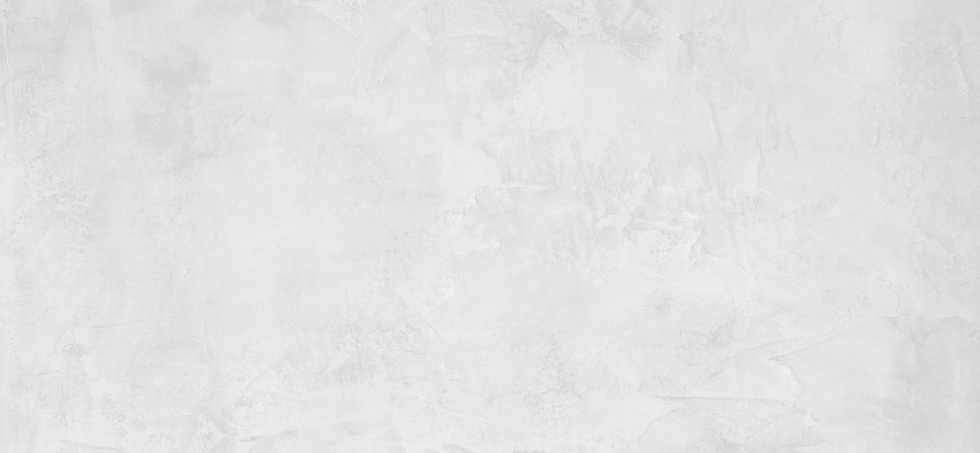 Banner - Site Homerunpet-8.png