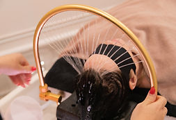 image1 (1) copy.jpeg