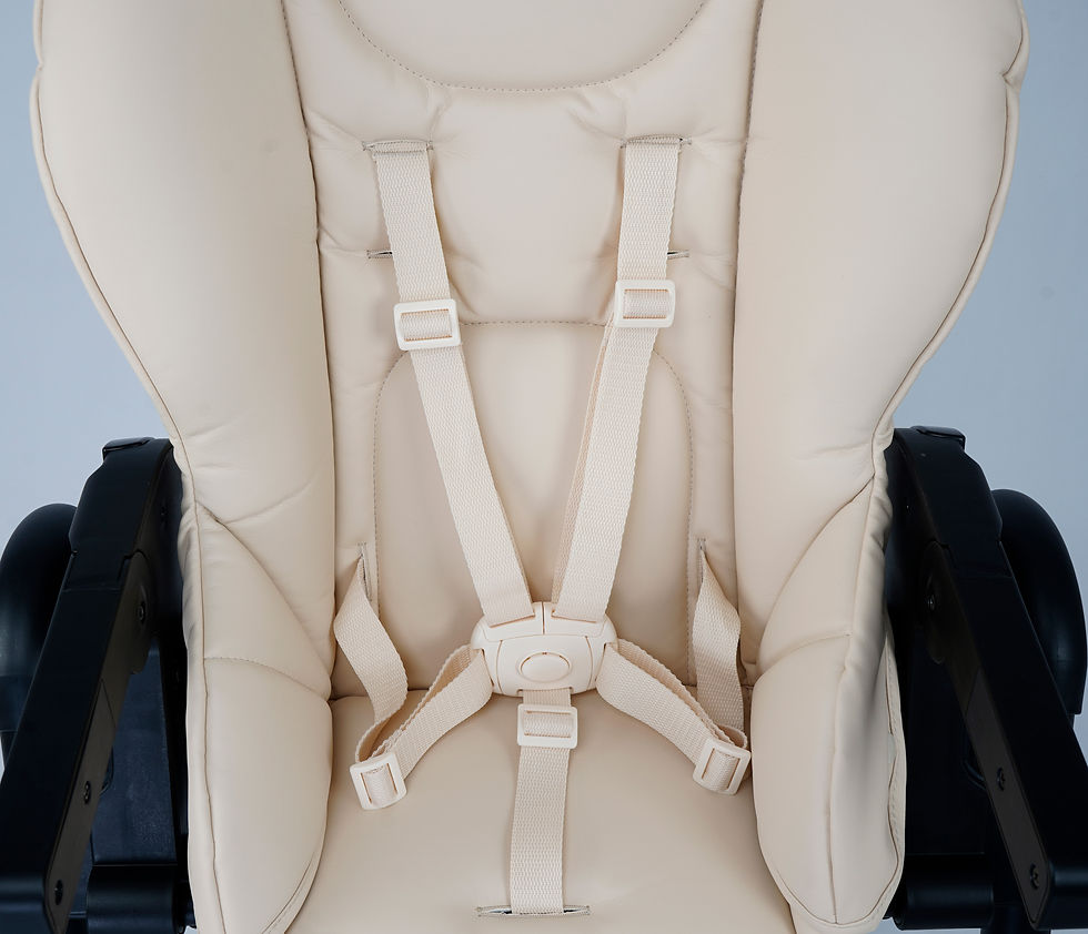 תמונה ממוזערת: כיסא אוכל דגם וולט - Santa Barbara Polo and Racquet Club