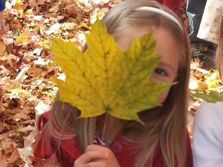 Fall Newsletter 2016