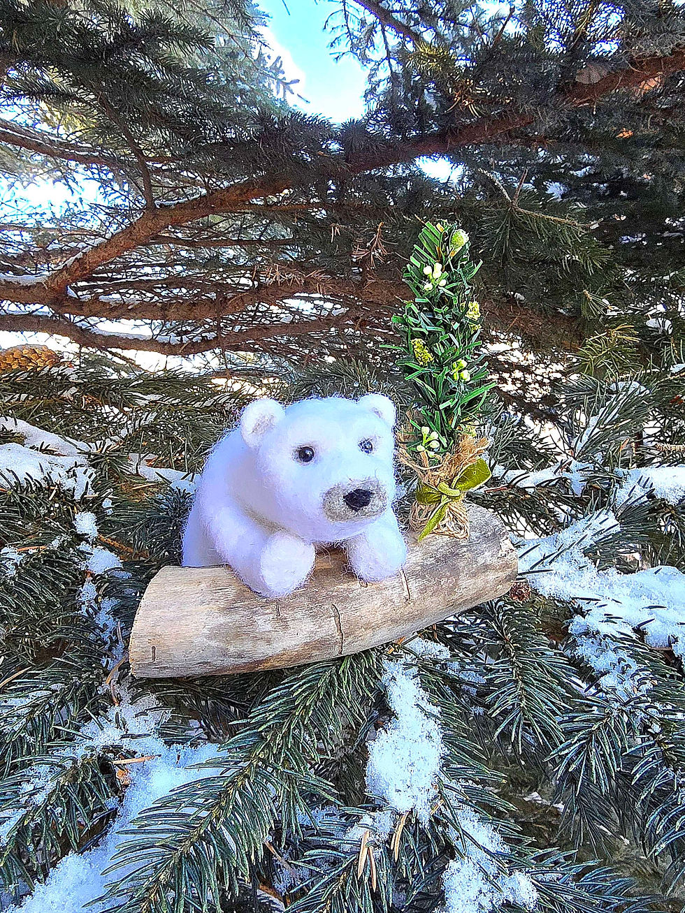 Pip the Polar Bear and Tiny Tree