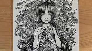 やっと晴れた