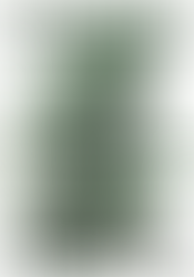 Weaponizing the petro-dollar commodities