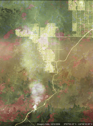 scene of the crime - palm oil indonesia 1