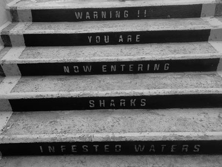 Can the Sharks reboot?