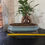 縮圖：Microcarpa Ficus Ginseng Bonsai