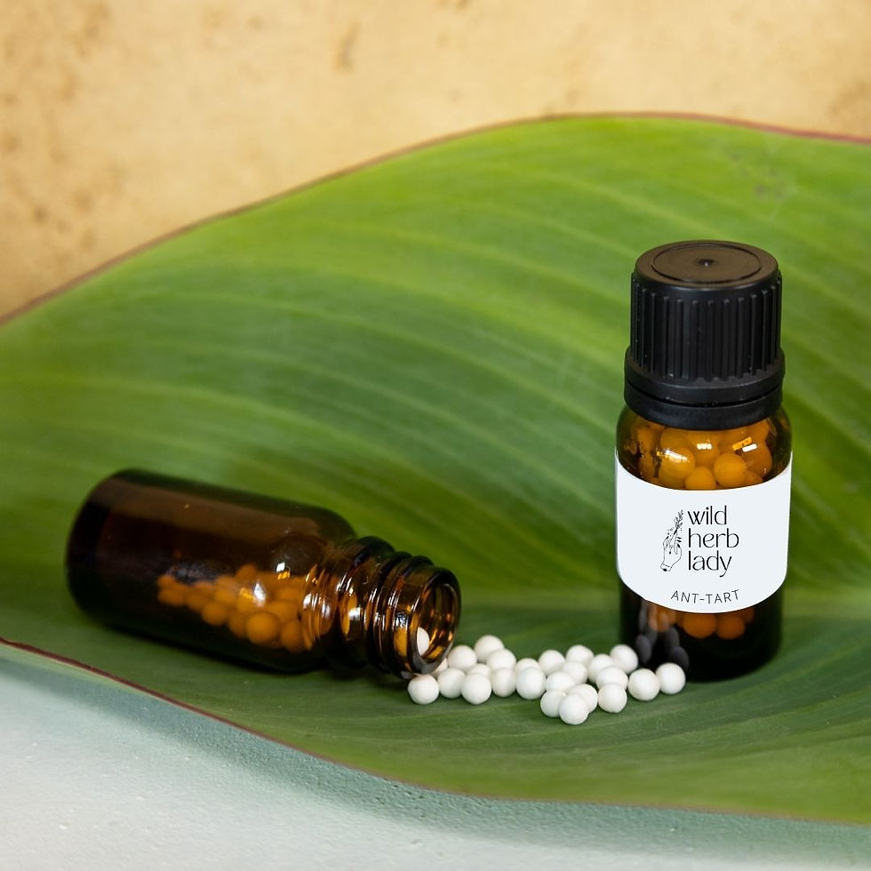 Ant-Tart Single Remedy - Wild Herb Lady
