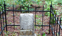 Savage Grave - June 2021
