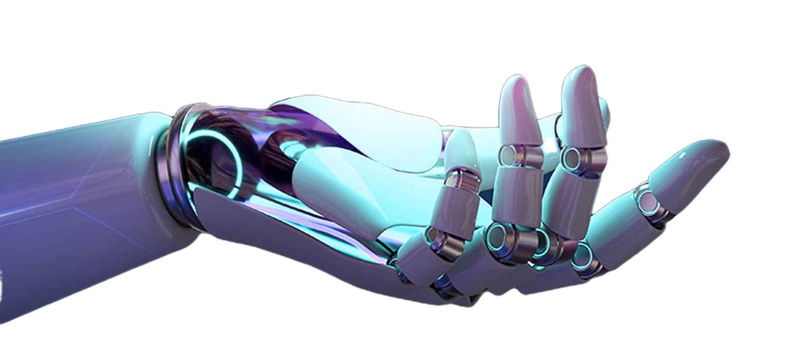 image 13.png