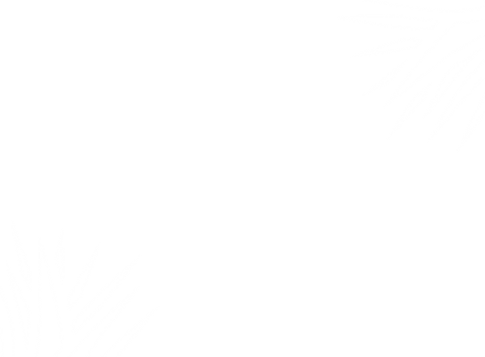 sdaf-01.png