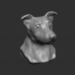 3D Model of Chico
