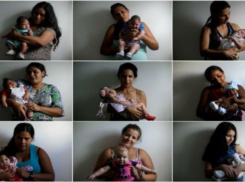 Aumentan pruebas que apuntan a una relación entre el zika y casos de microcefalia: OMS