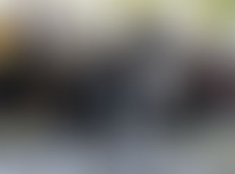 Periodistas de Veracruz desmienten que Anabel Flores tuviera nexos con el narco