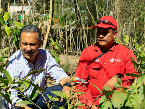 Ayuntamiento mantiene un Durango verde