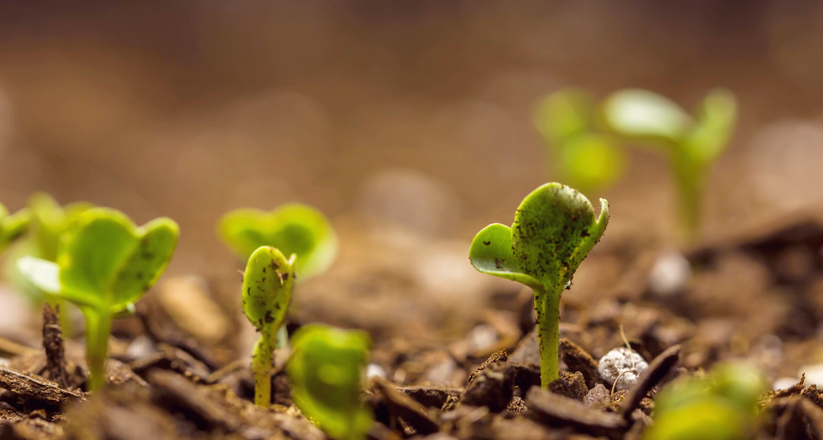 Screen Shot 2022-03-14 at 9.50.59 AM.png