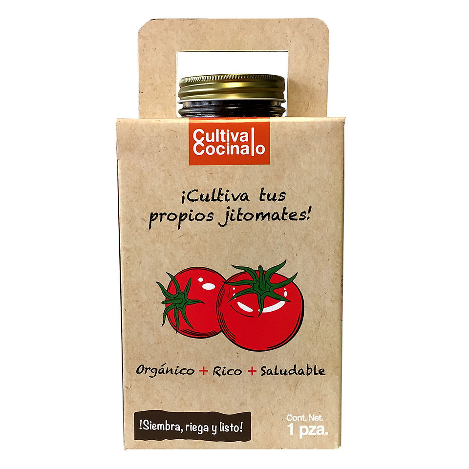 kit de cultivo de jitomates para niños