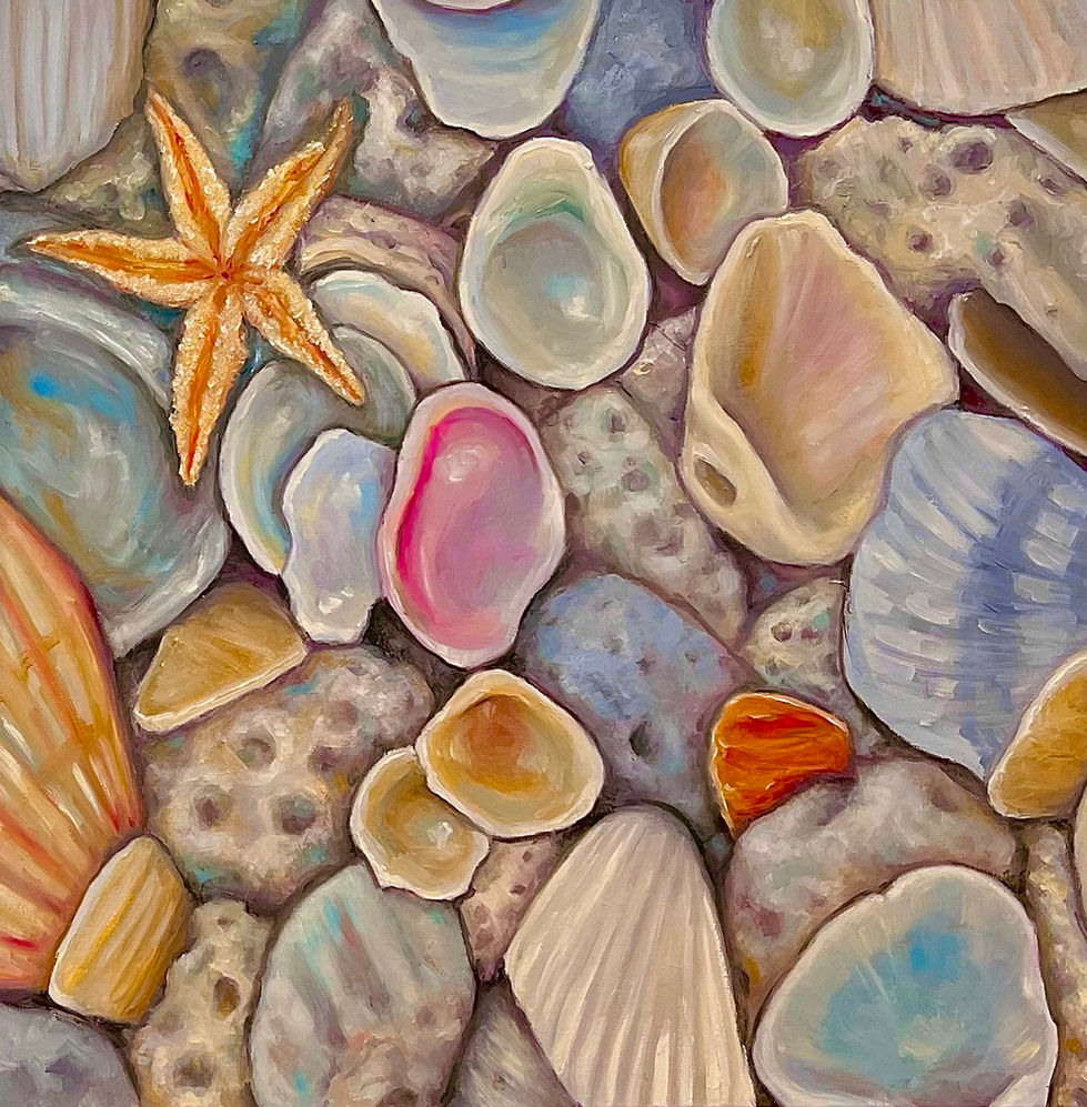 COLLECTIONS & REFLECTIONS I