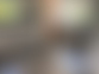 end-of-tenancy cleans