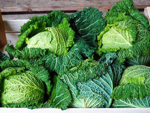 Cabbage & Cancer Prevention
