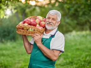 Apples & Lowering Cholesterol Levels