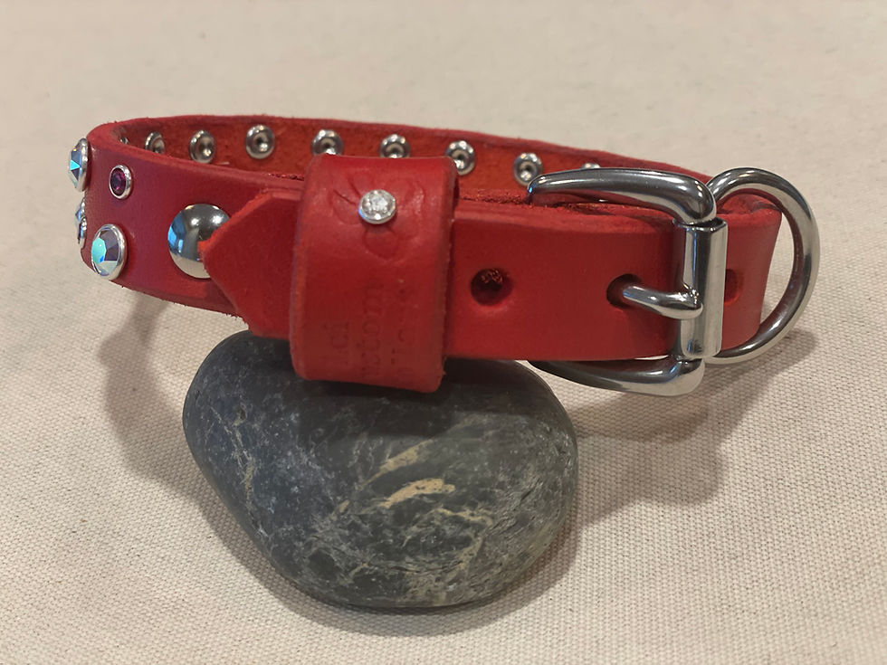 Thumbnail: The Stella Collar