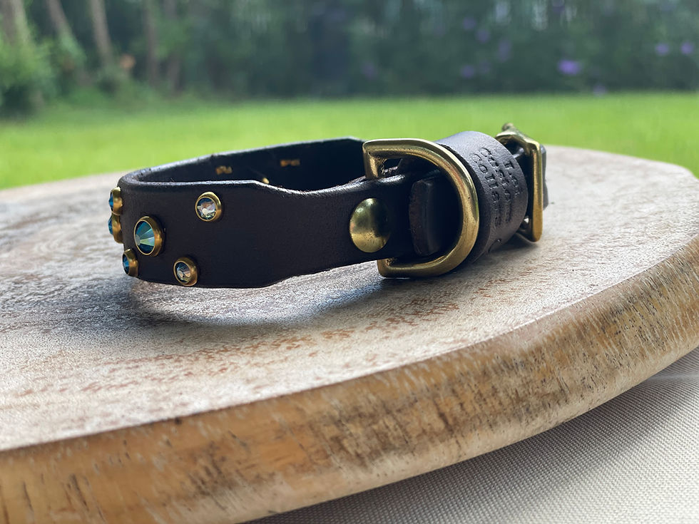 Thumbnail: The Prism Collar