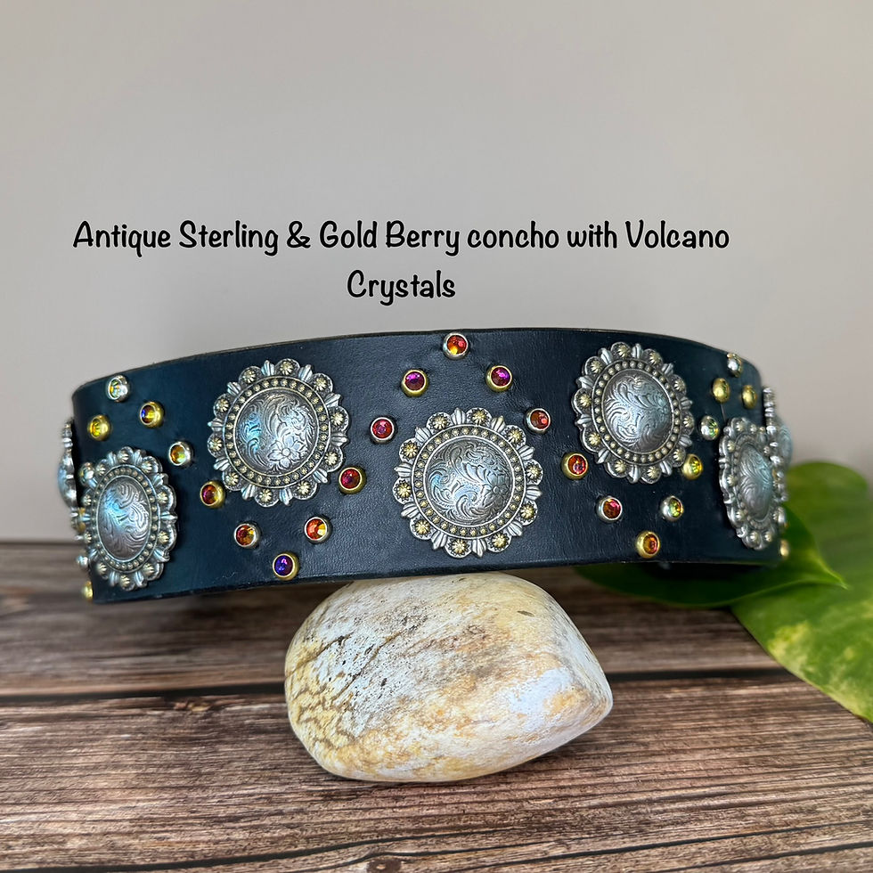 Thumbnail: Antique Sterling & Gold Berry Concho Dog Collar with Volcano Crystals, Brass and Nickel Hardware on Black Leather