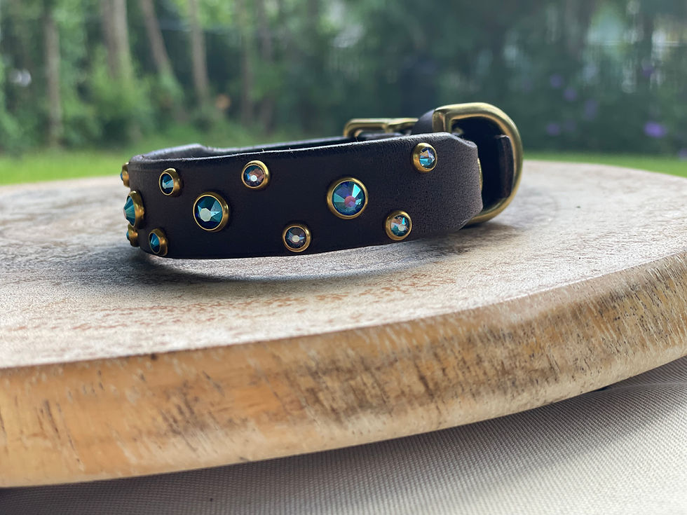 Thumbnail: The Prism Collar