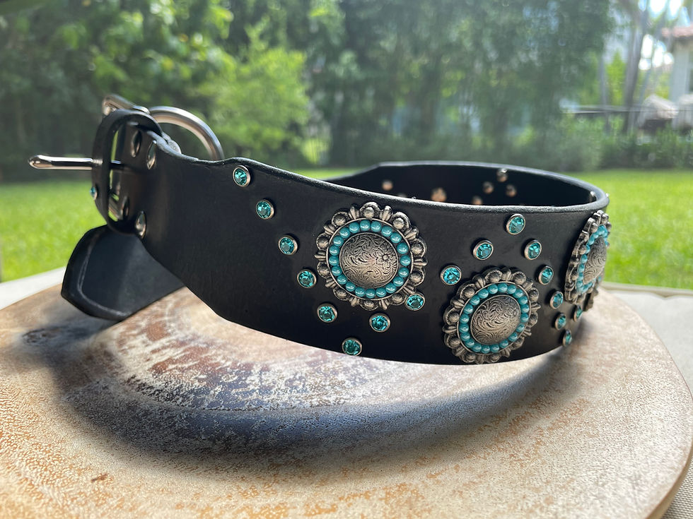 Thumbnail: Black leather dog collar with Antique Nickel Berry Conchos and turquoise crystals, handmade and detailed with a bright,