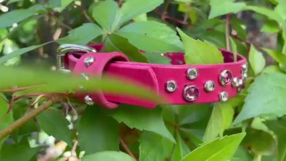 Thumbnail: The Barbie Collar