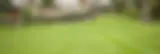 lawn2_1.webp
