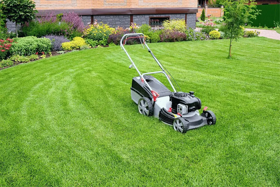 Lawn mower on a lush green lawn surrounded by flowers.