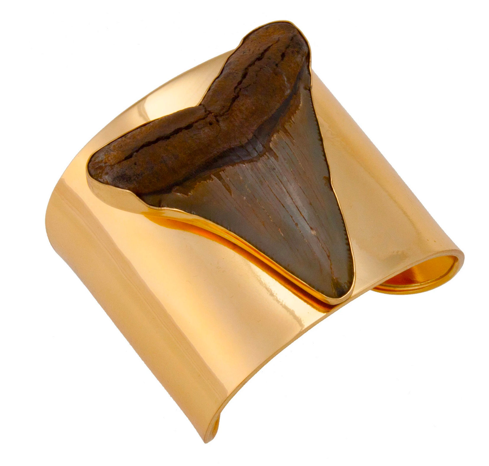 Alchemia Fossilized Shark Tooth Solid Cuff