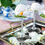 Thumbnail: Juliska Amalia Coupe Set