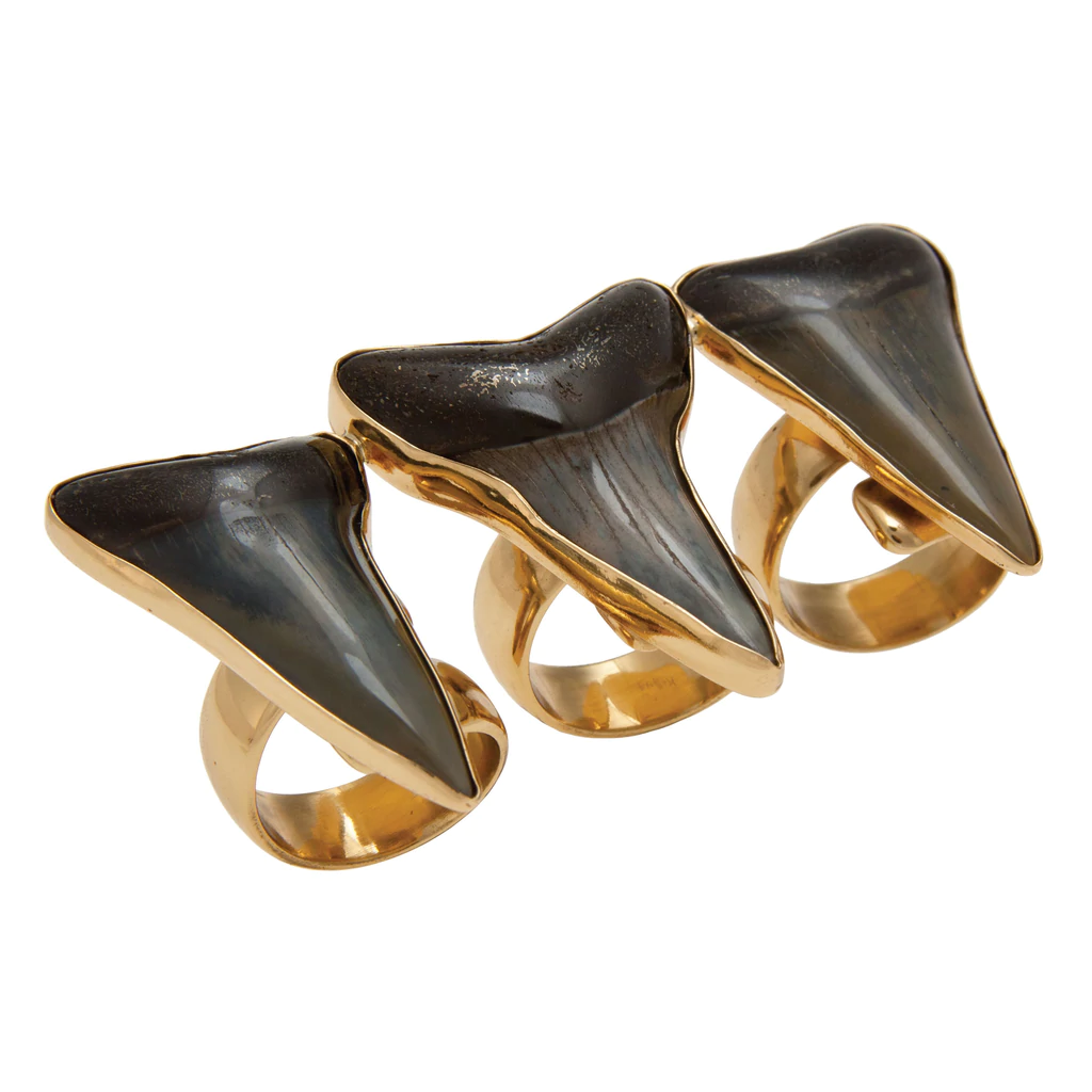 Alchemia Fossil Shark Teeth Knuckle Ring