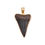 Thumbnail: Charles Albert Alchemia Fossil Shark Tooth Pendant