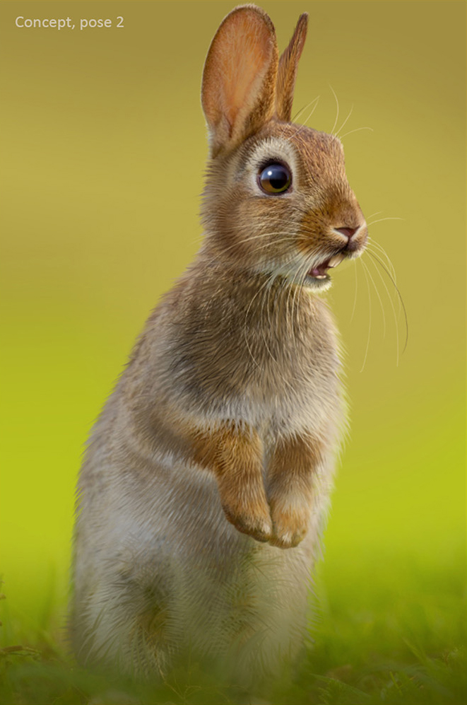 Watership Down