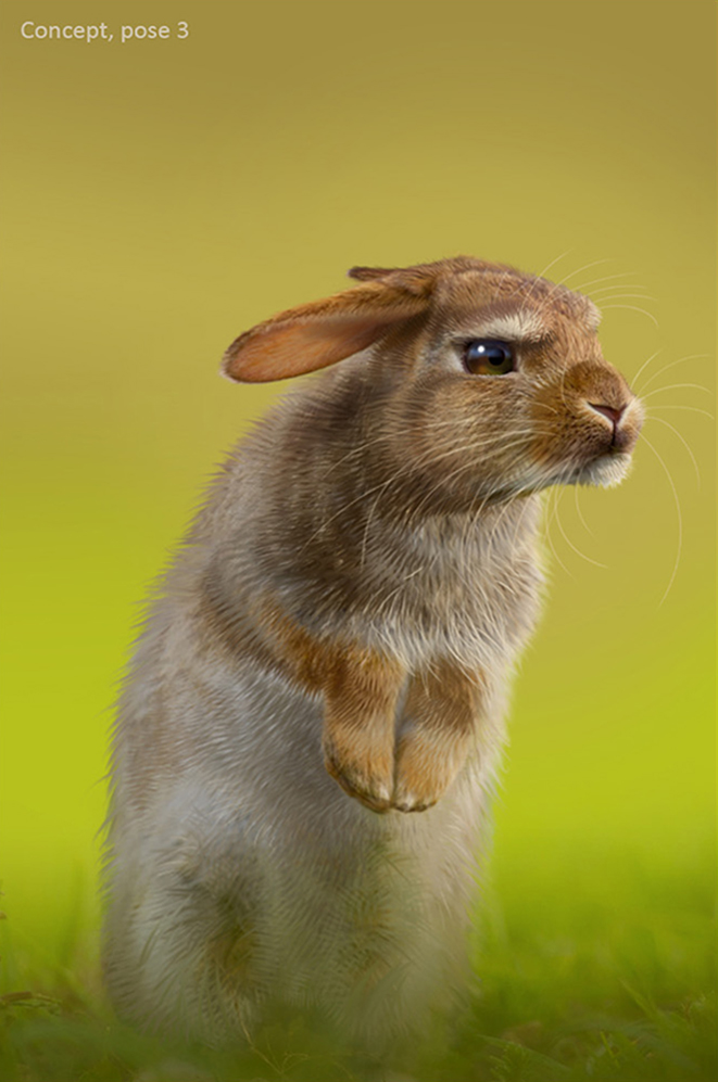 Watership Down