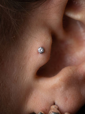Piercing ucha – tragus, Black House Tattoo Praha