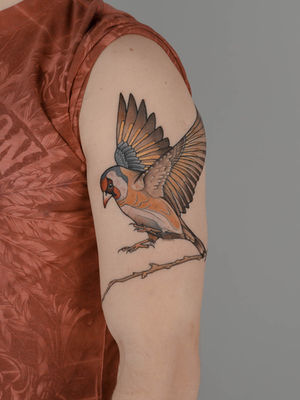 Neo-Traditional – tetování, Black House Tattoo Praha