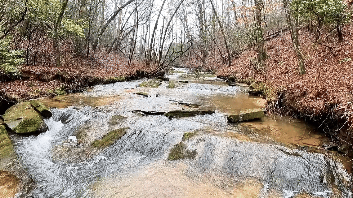 0219(3).gif